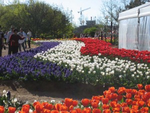 img_0065 img_0065