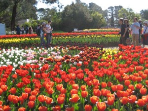 img_0066 img_0066