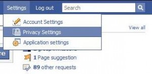Im Menü "Settings" auf "Privacy Settings" klicken